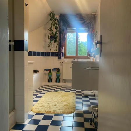 Kleines Dachzimmer Mit Balkon Feucht